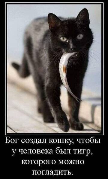 https://upforme.ru/uploads/0019/3a/78/16/t507839.jpg