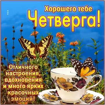 https://upforme.ru/uploads/0019/3a/78/202/t388468.jpg
