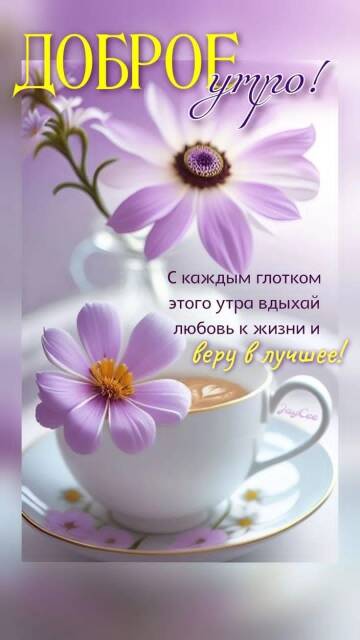 https://upforme.ru/uploads/0019/3a/78/202/t914960.jpg