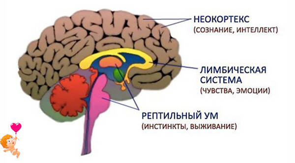 https://upforme.ru/uploads/0019/3a/78/212/t102440.jpg