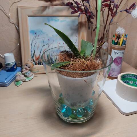 https://upforme.ru/uploads/0019/3a/78/212/t196519.jpg