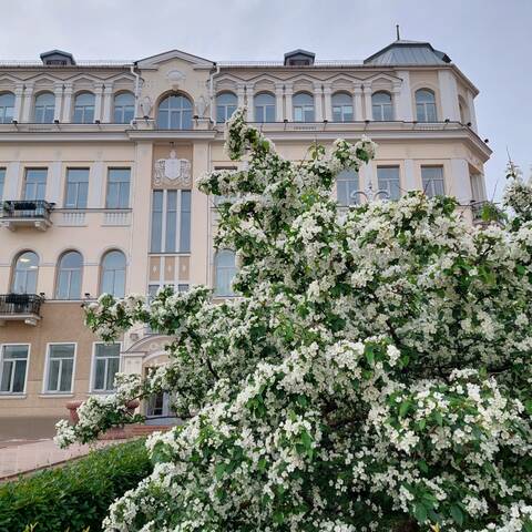 https://upforme.ru/uploads/0019/3a/78/212/t200439.jpg
