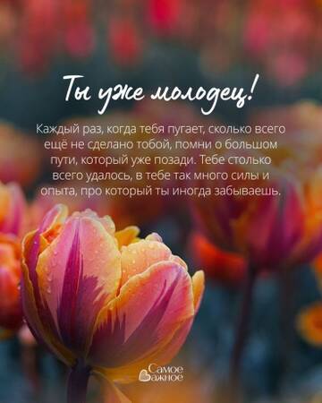 https://upforme.ru/uploads/0019/3a/78/212/t218121.jpg
