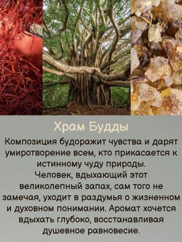 https://upforme.ru/uploads/0019/3a/78/212/t269892.jpg