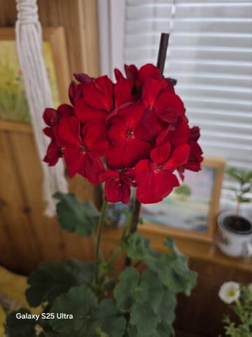 https://upforme.ru/uploads/0019/3a/78/212/t298839.jpg