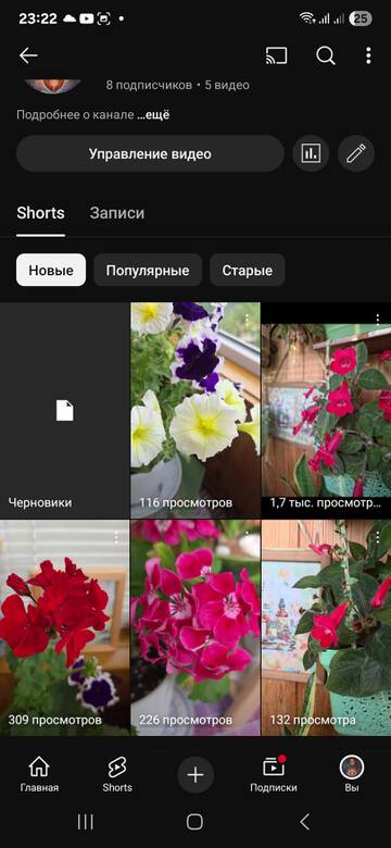 https://upforme.ru/uploads/0019/3a/78/212/t306718.jpg