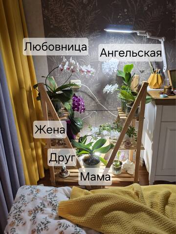https://upforme.ru/uploads/0019/3a/78/212/t314310.jpg