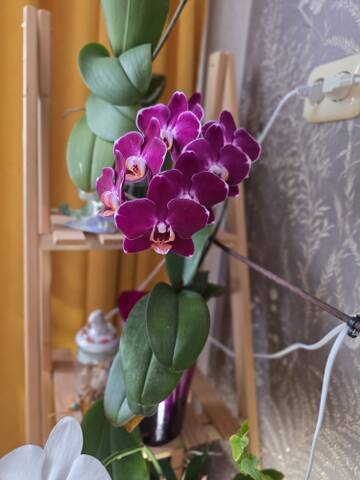 https://upforme.ru/uploads/0019/3a/78/212/t363102.jpg