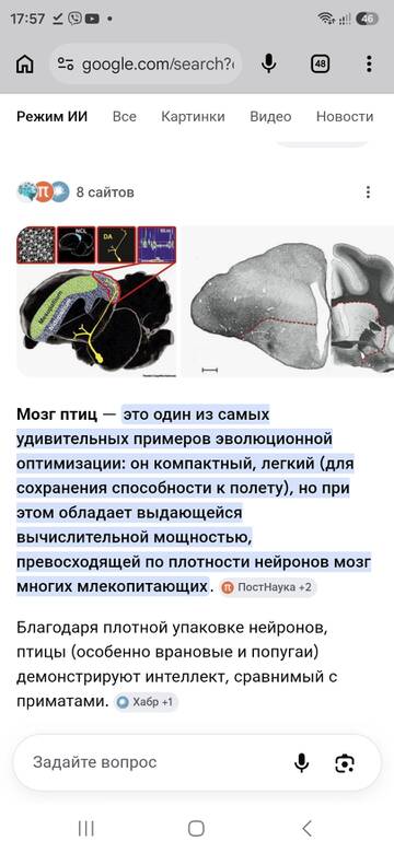 https://upforme.ru/uploads/0019/3a/78/212/t40525.jpg