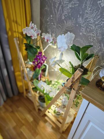 https://upforme.ru/uploads/0019/3a/78/212/t413031.jpg