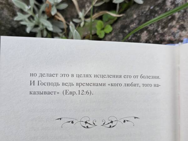 https://upforme.ru/uploads/0019/3a/78/212/t445784.jpg