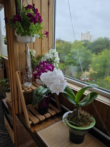 https://upforme.ru/uploads/0019/3a/78/212/t451317.jpg