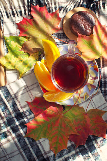 https://upforme.ru/uploads/0019/3a/78/212/t474285.jpg
