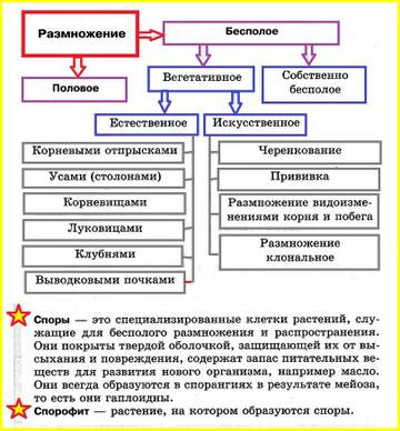 https://upforme.ru/uploads/0019/3a/78/212/t488538.jpg