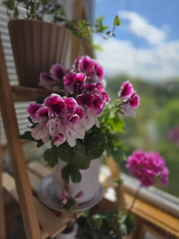 https://upforme.ru/uploads/0019/3a/78/212/t543686.jpg