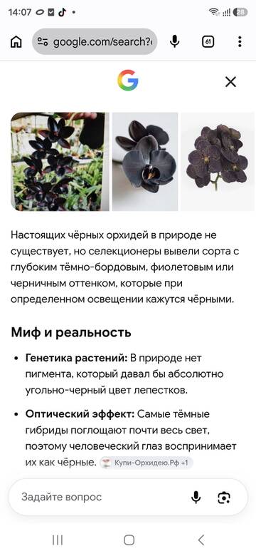 https://upforme.ru/uploads/0019/3a/78/212/t563140.jpg