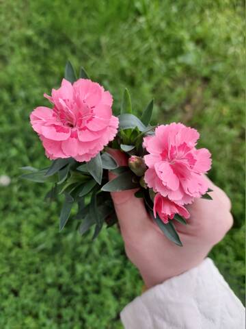 https://upforme.ru/uploads/0019/3a/78/212/t573363.jpg