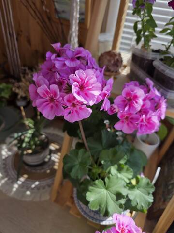 https://upforme.ru/uploads/0019/3a/78/212/t582705.jpg
