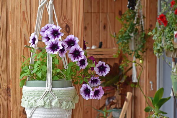 https://upforme.ru/uploads/0019/3a/78/212/t65496.jpg
