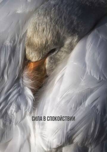 https://upforme.ru/uploads/0019/3a/78/212/t658044.jpg