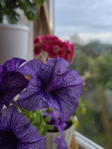 https://upforme.ru/uploads/0019/3a/78/212/t722833.jpg
