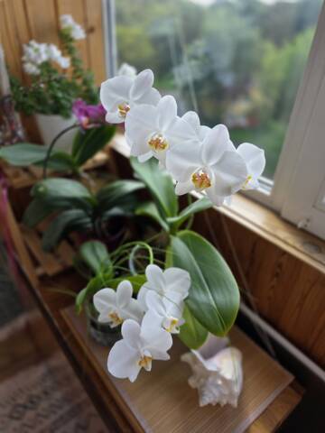 https://upforme.ru/uploads/0019/3a/78/212/t753688.jpg