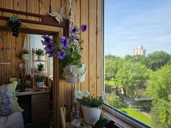 https://upforme.ru/uploads/0019/3a/78/212/t765790.jpg