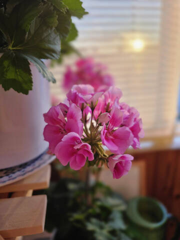 https://upforme.ru/uploads/0019/3a/78/212/t779909.jpg