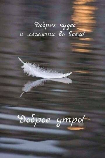 https://upforme.ru/uploads/0019/3a/78/212/t804480.jpg