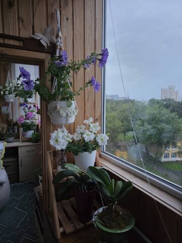 https://upforme.ru/uploads/0019/3a/78/212/t81508.jpg