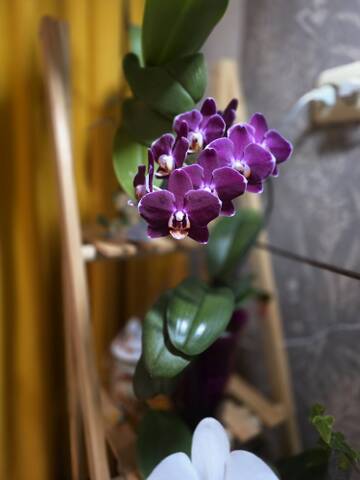 https://upforme.ru/uploads/0019/3a/78/212/t830662.jpg