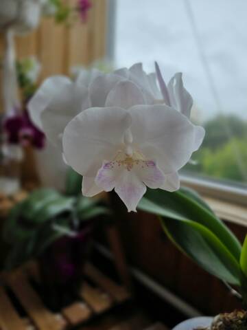 https://upforme.ru/uploads/0019/3a/78/212/t877241.jpg