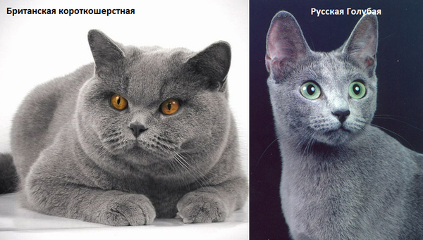 https://upforme.ru/uploads/0019/3a/78/212/t882229.png