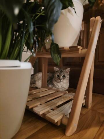 https://upforme.ru/uploads/0019/3a/78/212/t910407.jpg