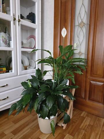 https://upforme.ru/uploads/0019/3a/78/212/t928349.jpg
