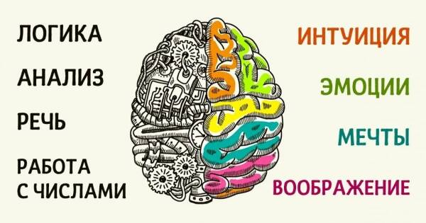 https://upforme.ru/uploads/0019/3a/78/212/t937087.jpg