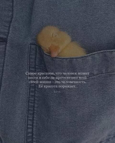 https://upforme.ru/uploads/0019/3a/78/212/t993649.jpg