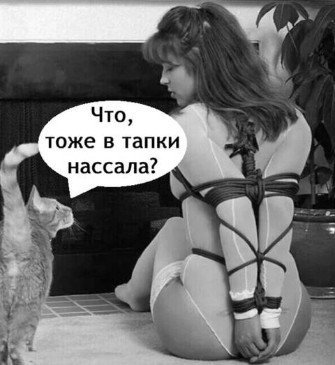 https://upforme.ru/uploads/0019/3a/78/253/t222719.jpg