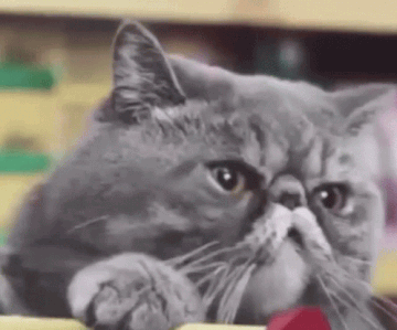 https://upforme.ru/uploads/0019/3a/78/253/t721224.gif