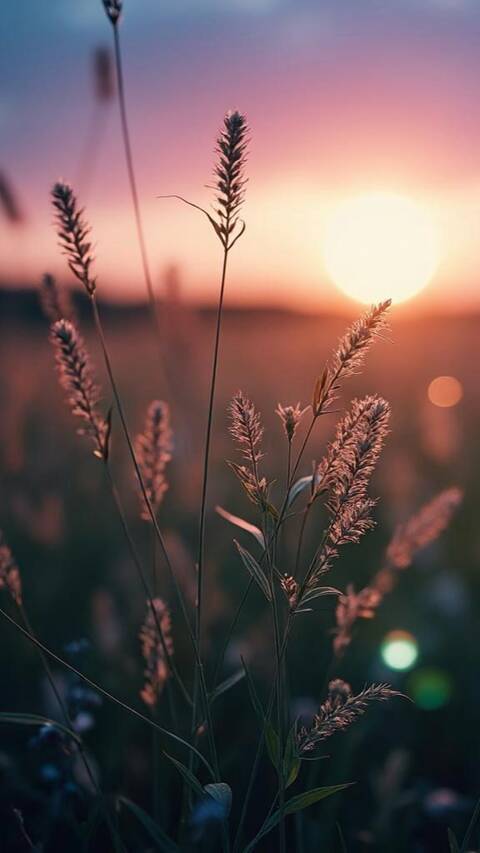 https://upforme.ru/uploads/0019/3a/78/253/t826396.jpg