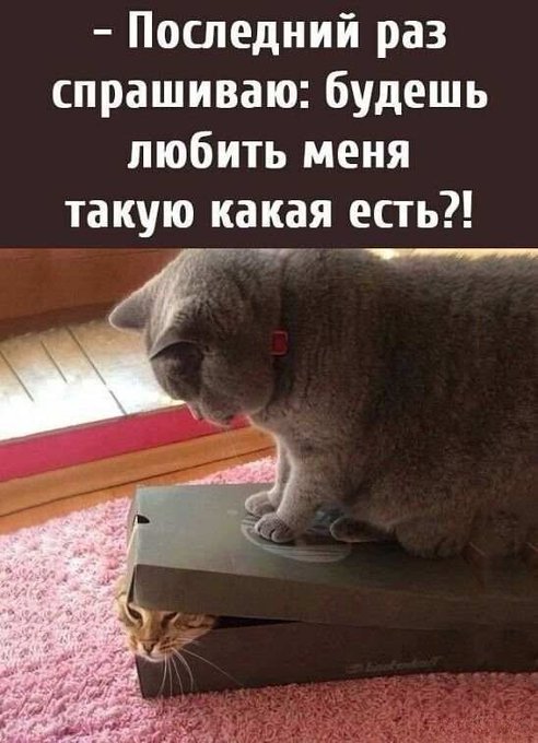 https://upforme.ru/uploads/0019/3a/78/313/t396533.jpg