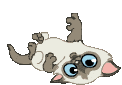 https://upforme.ru/uploads/0019/3a/78/313/t503832.gif