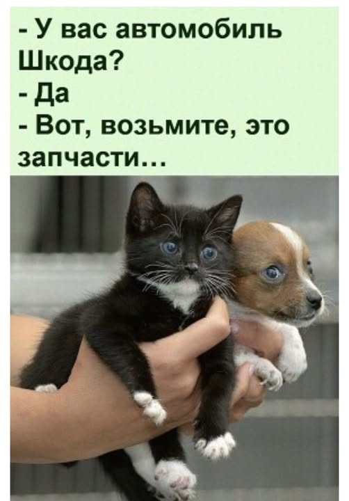 https://upforme.ru/uploads/0019/3a/78/313/t612736.jpg