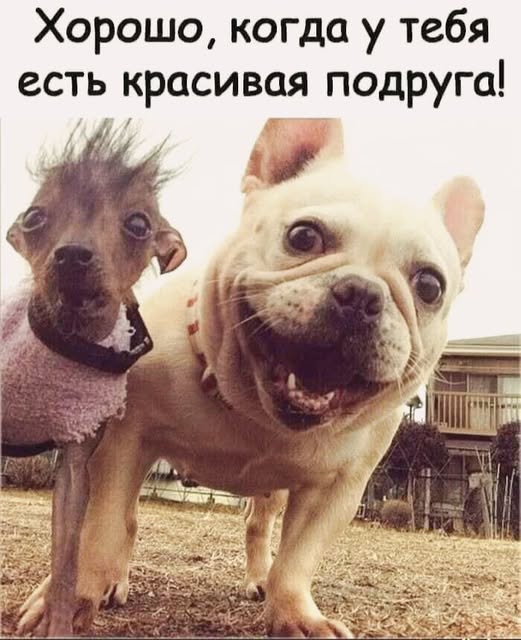 https://upforme.ru/uploads/0019/3a/78/313/t636549.jpg