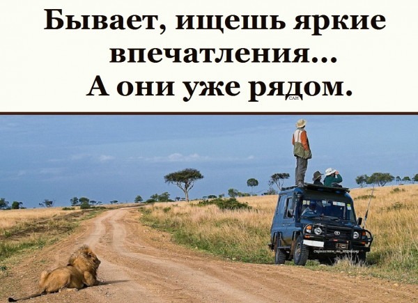https://upforme.ru/uploads/0019/3a/78/313/t682100.jpg