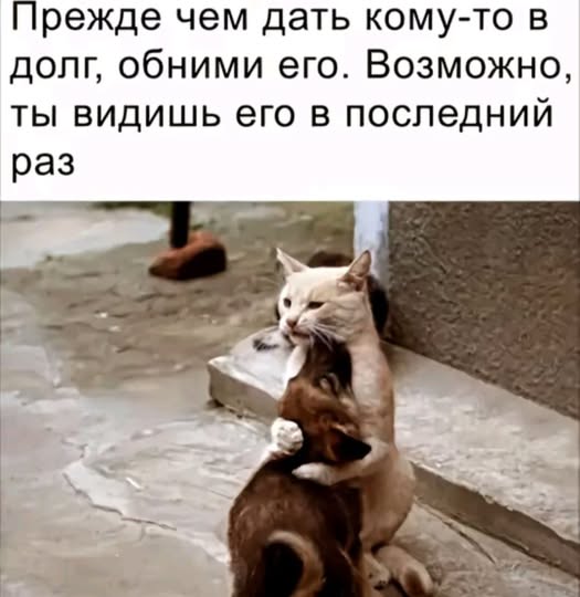 https://upforme.ru/uploads/0019/3a/78/313/t743789.jpg