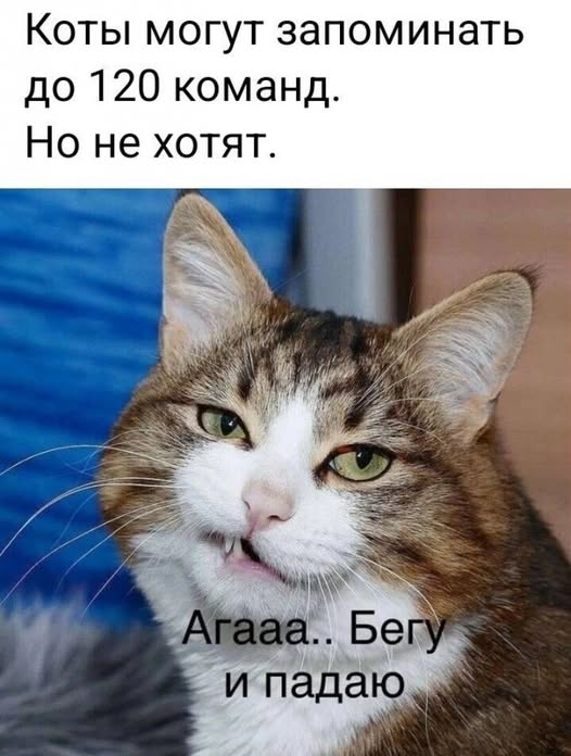 https://upforme.ru/uploads/0019/3a/78/313/t892573.jpg
