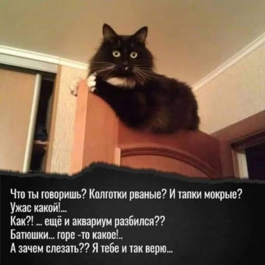https://upforme.ru/uploads/0019/3a/78/313/t981602.jpg