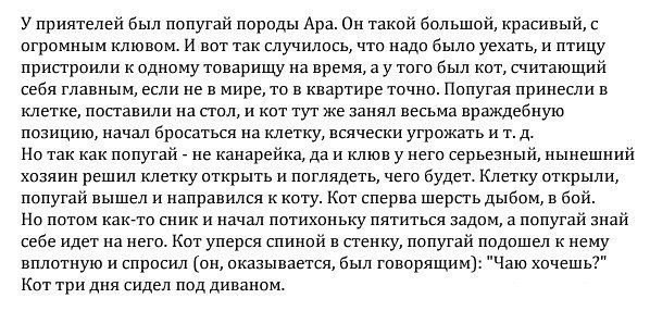 https://upforme.ru/uploads/0019/3a/78/327/t804749.jpg