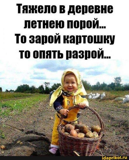 https://upforme.ru/uploads/0019/3a/78/34/936335.jpg